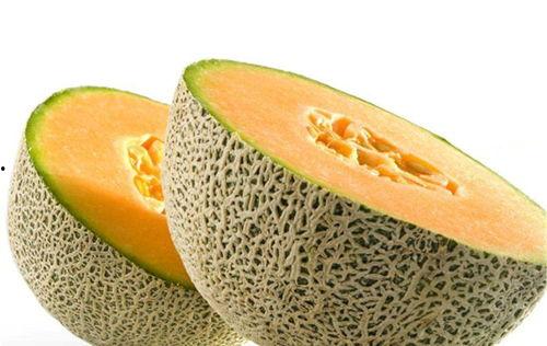 吃哈密瓜可以吃田鸡嘛,美味搭配的饮食探索