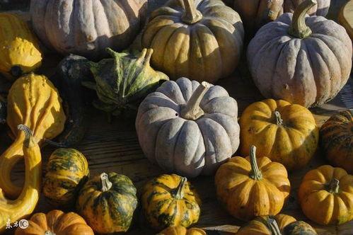 吃瓜造成伤害,揭秘意外伤害背后的“甜蜜”陷阱