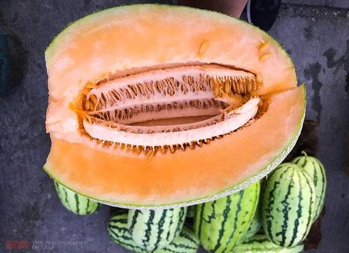 新疆路边吃哈密瓜,一路瓜香，尽享哈密瓜盛宴