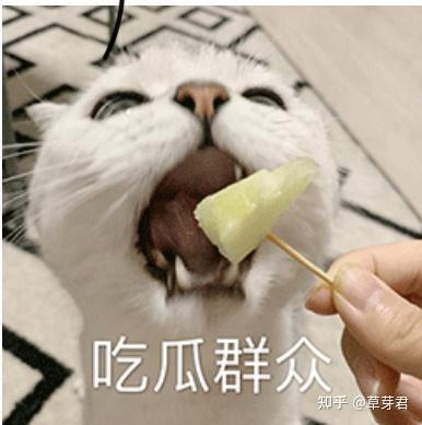 吃瓜侵犯他人隐私吗,边界何在？揭秘吃瓜行为与隐私侵犯的微妙关系