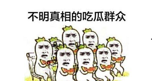 有关吃瓜群众材料,网络时代的围观力量
